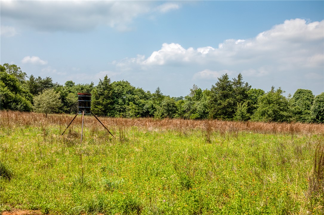 2330 County Road 329 Milano, TX 76556 - Photo 37 of 45 a view of yard with swimming pool and green space