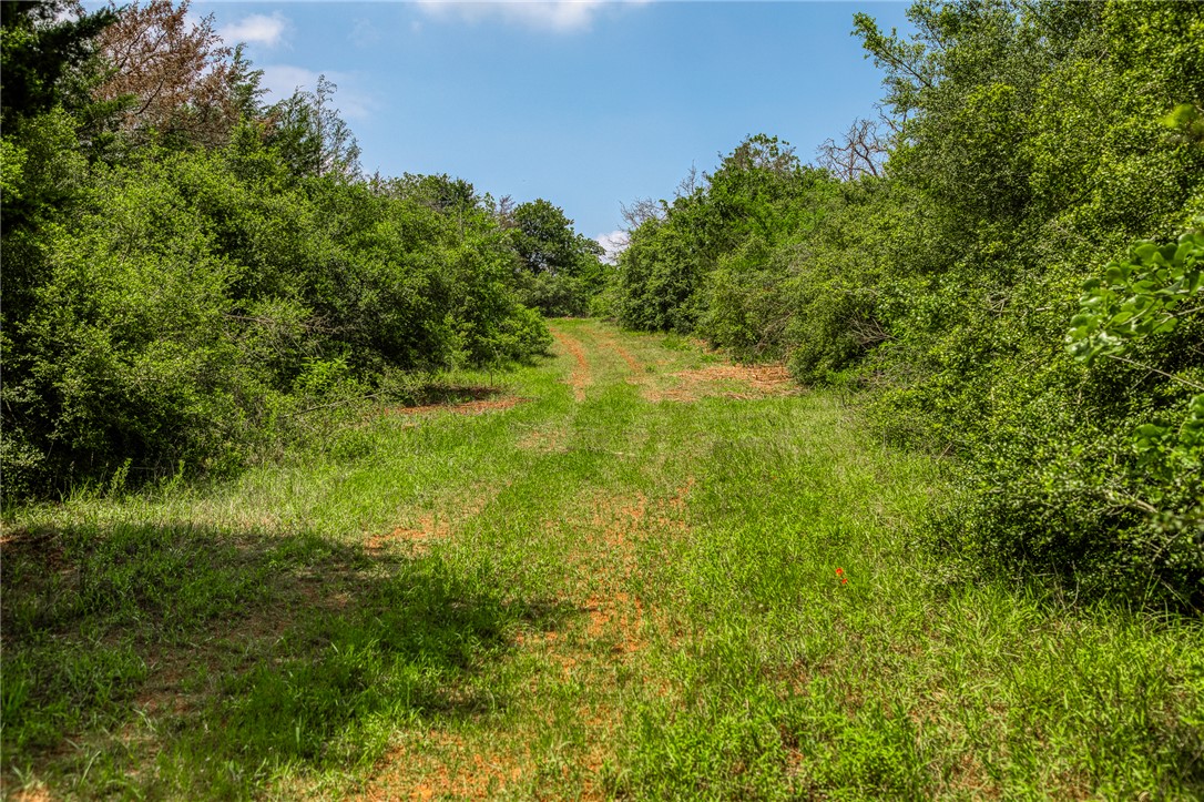 2330 County Road 329 Milano, TX 76556 - Photo 39 of 45 a view of outdoor space and trees all around
