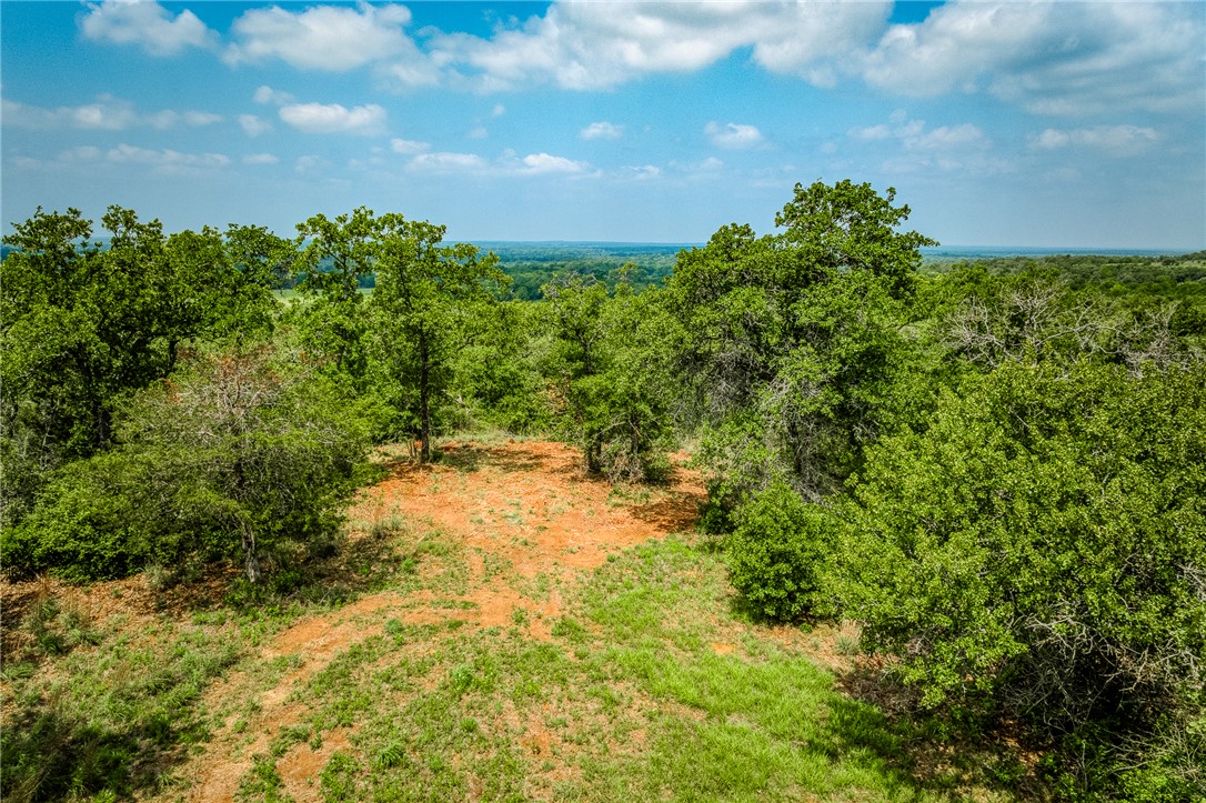 2330 County Road 329 Milano, TX 76556 - Photo 4 of 45 a view of a yard with a tree