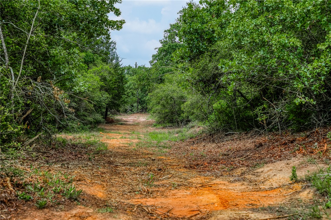2330 County Road 329 Milano, TX 76556 - Photo 40 of 45 a view of a lake with mountain