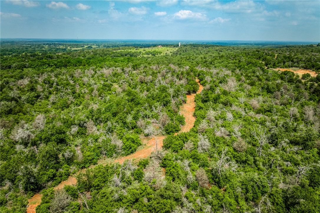 2330 County Road 329 Milano, TX 76556 - Photo 41 of 45 a view of a yard with an outdoor space