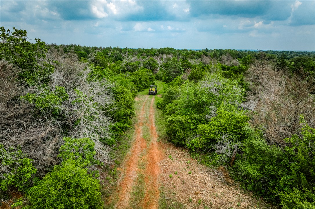 2330 County Road 329 Milano, TX 76556 - Photo 43 of 45 a view of a yard with plants and a bench