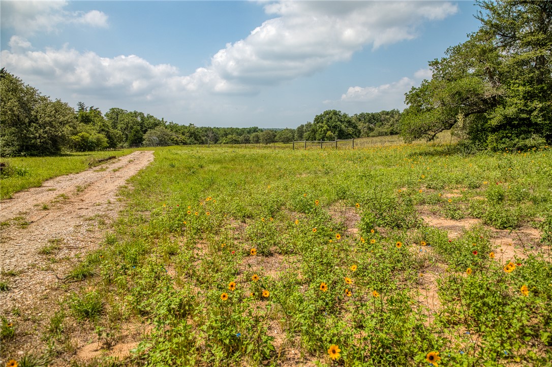 2330 County Road 329 Milano, TX 76556 - Photo 44 of 45 a view of a lake view