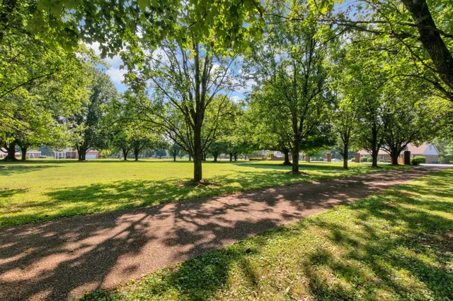 an empty room with wooden floor fireplace and windows
