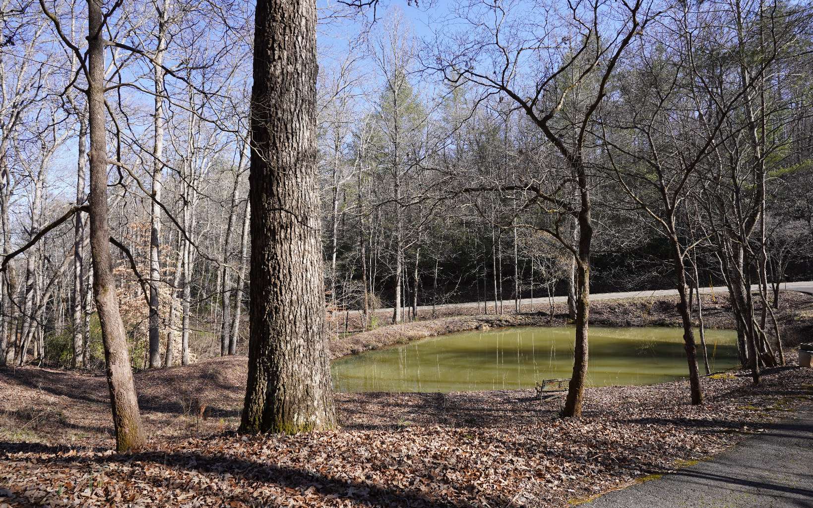 Lot D Dills Road Blue Ridge, GA 30513 - Photo 25 of 25 Additional View