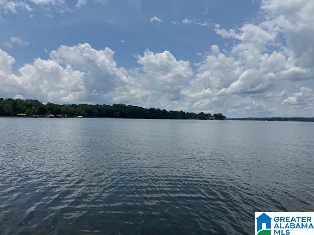 1442 Shannon Way Talladega, AL 35160 - Photo 63 of 73