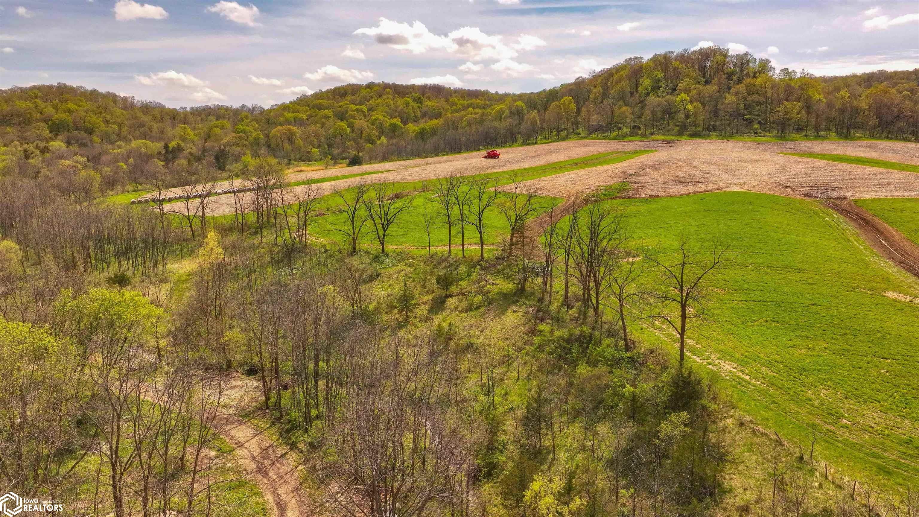 38346 Cherry Valley Road Guttenberg, IA 52052 - Photo 50 of 75 Gallery Image 50