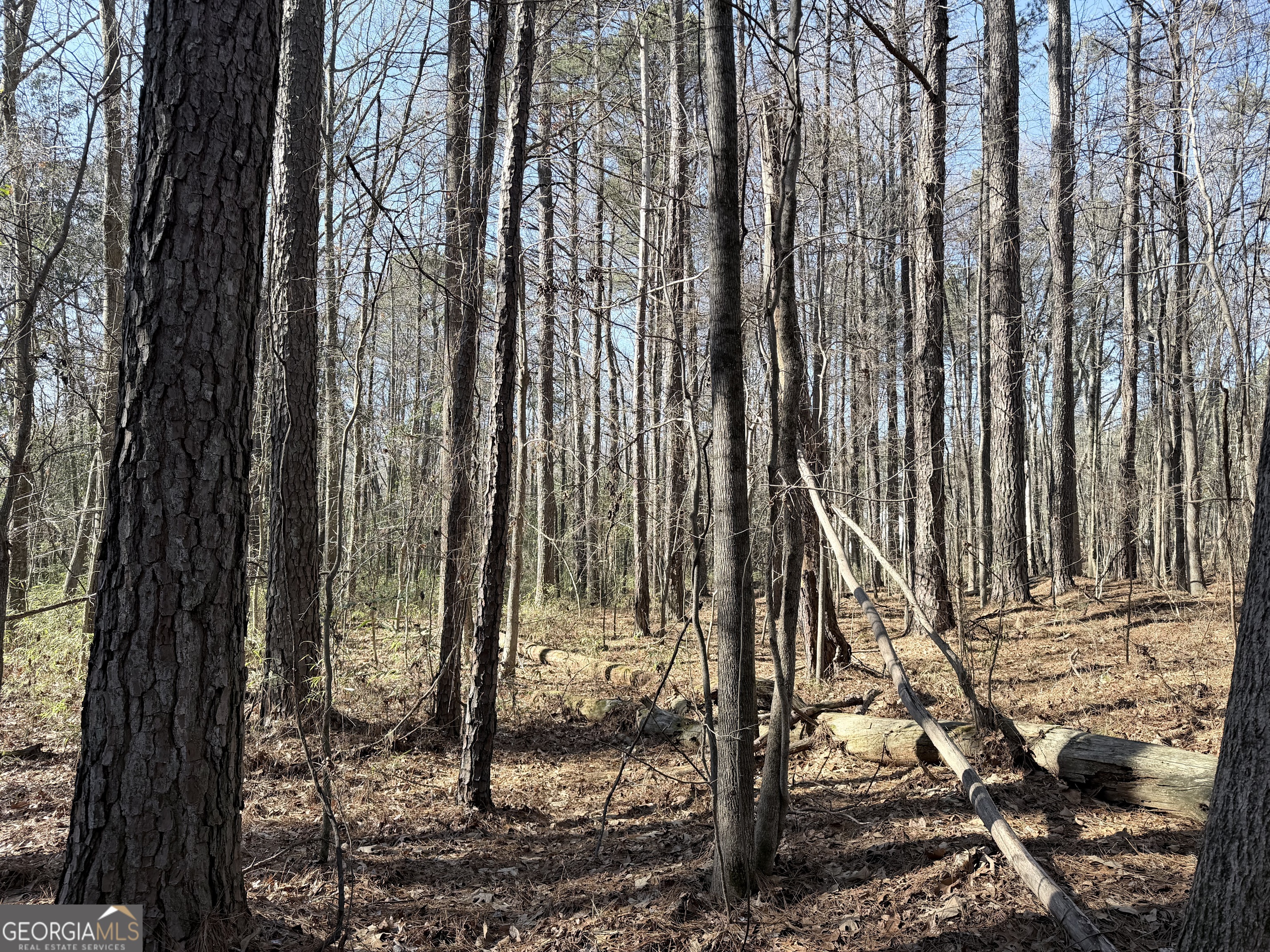 1272 Old Loganville Road Southwest Loganville, GA 30052 - Photo 11 of 18 a view of outdoor space with garden