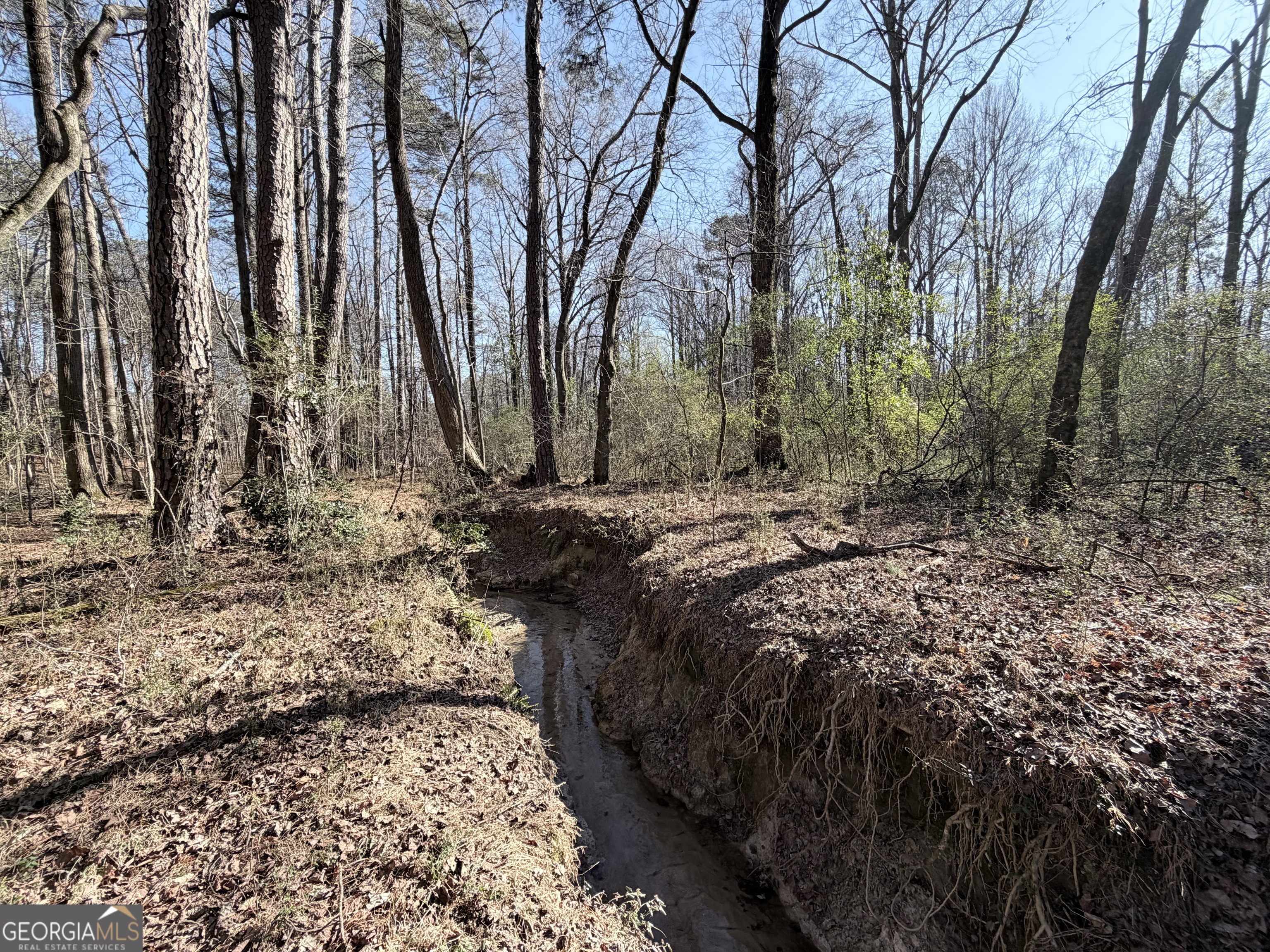 1272 Old Loganville Road Southwest Loganville, GA 30052 - Photo 13 of 18 a view of a backyard with large trees