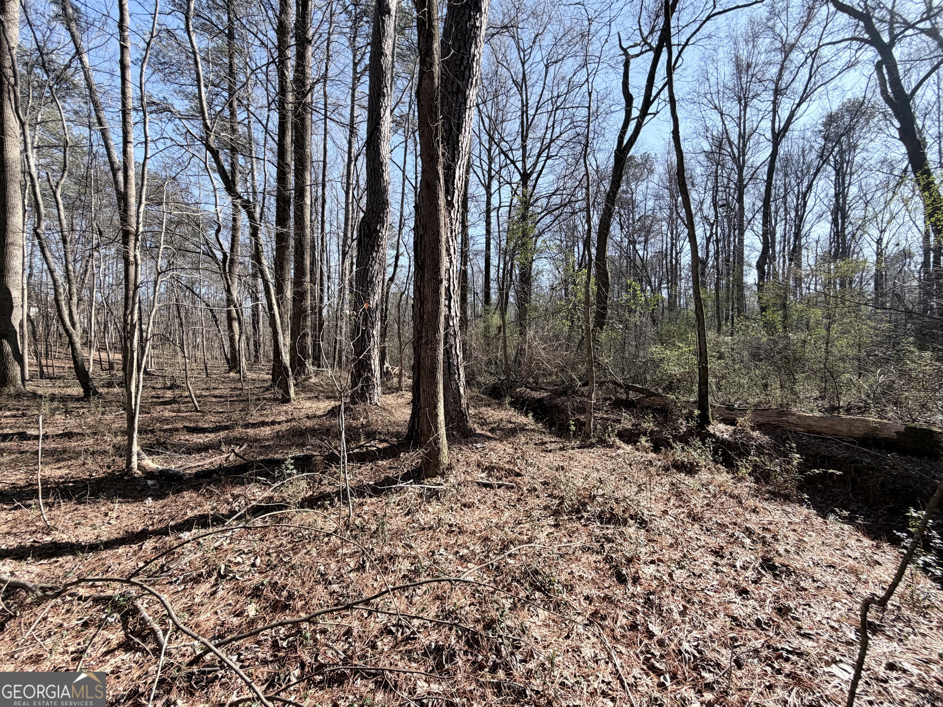 1272 Old Loganville Road Southwest Loganville, GA 30052 - Photo 5 of 18 a view of a backyard with trees