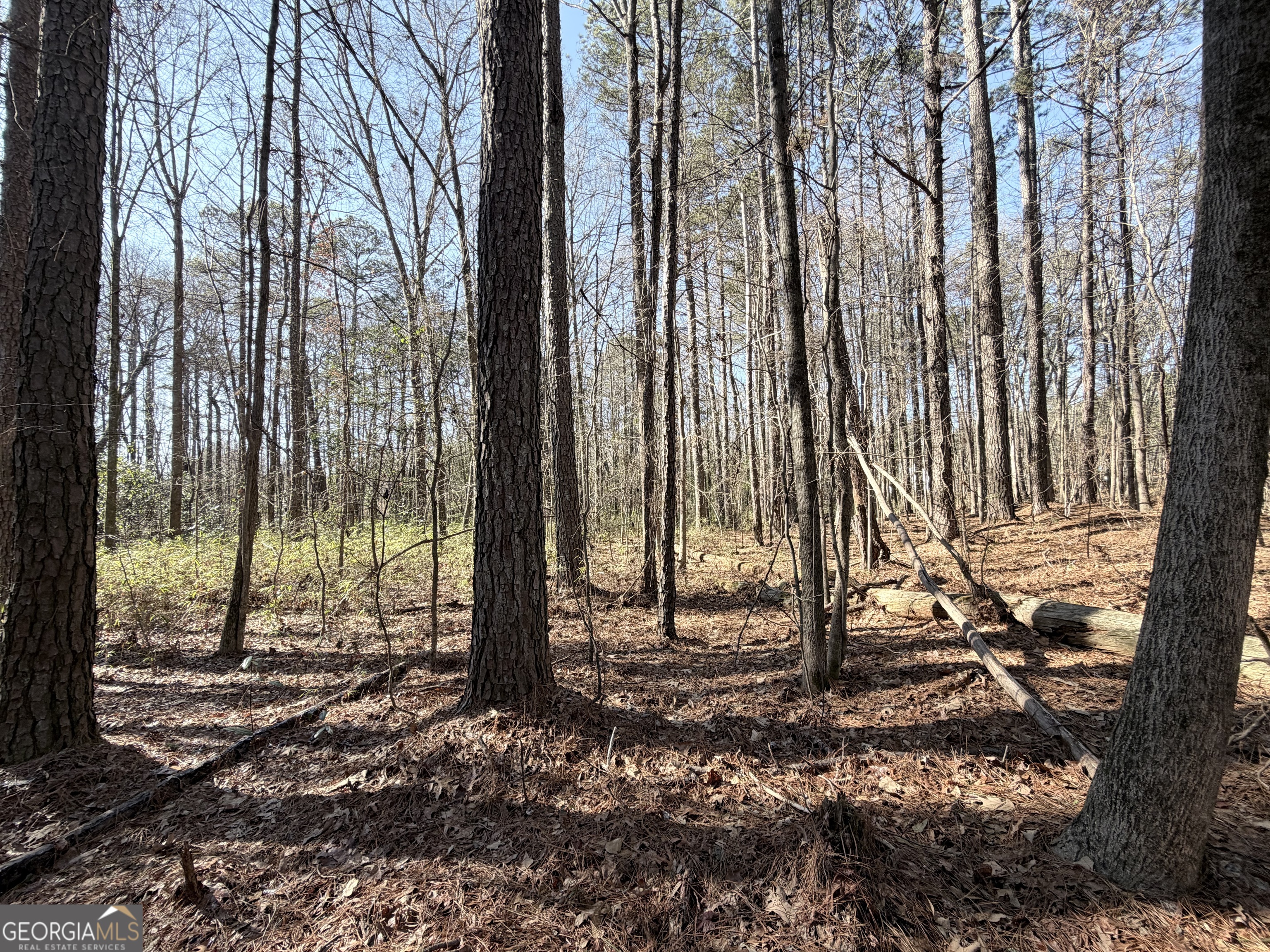 1272 Old Loganville Road Southwest Loganville, GA 30052 - Photo 6 of 18 a view of a backyard with trees