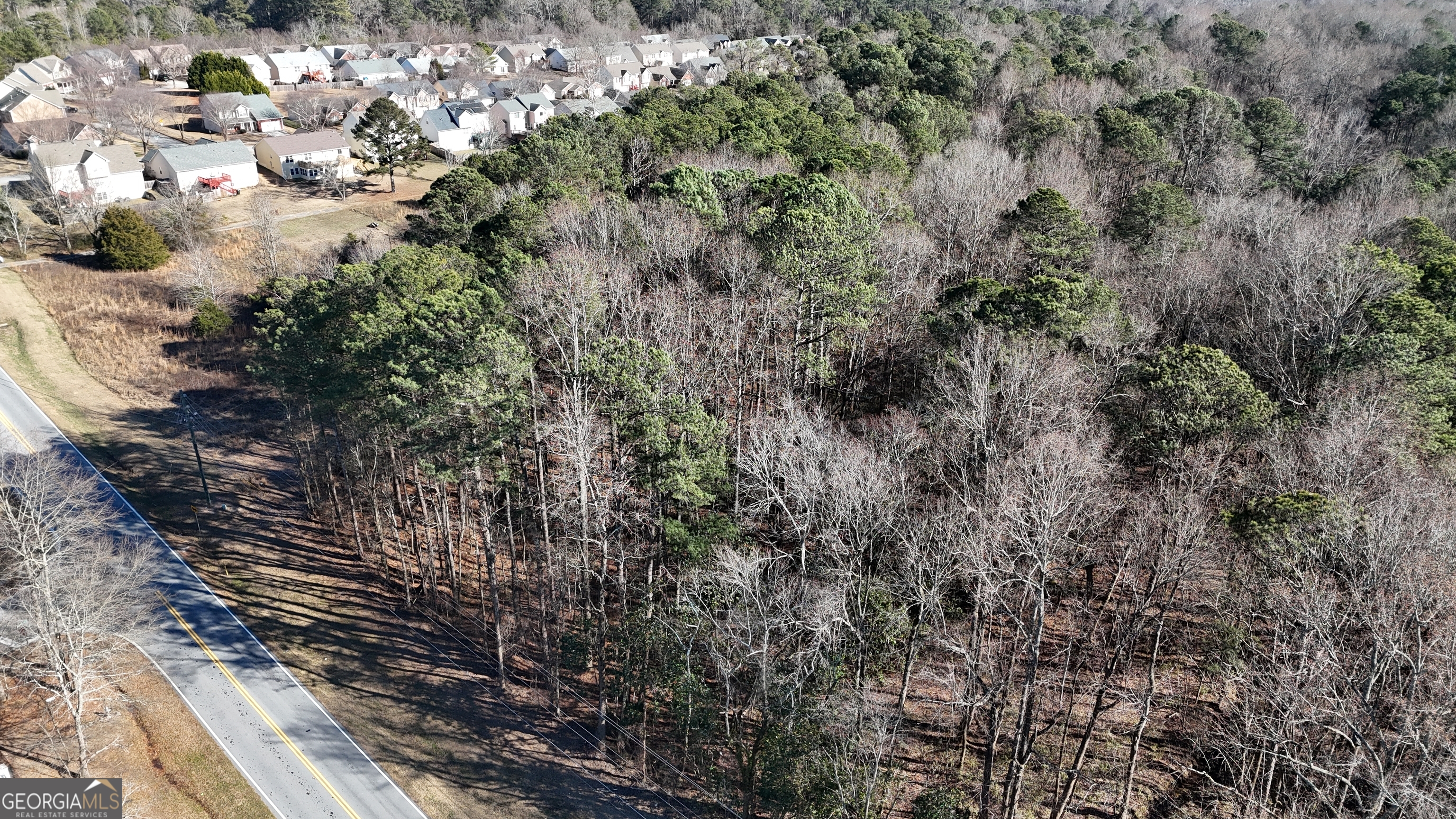 1272 Old Loganville Road Southwest Loganville, GA 30052 - Photo 9 of 18 a view of a forest with trees