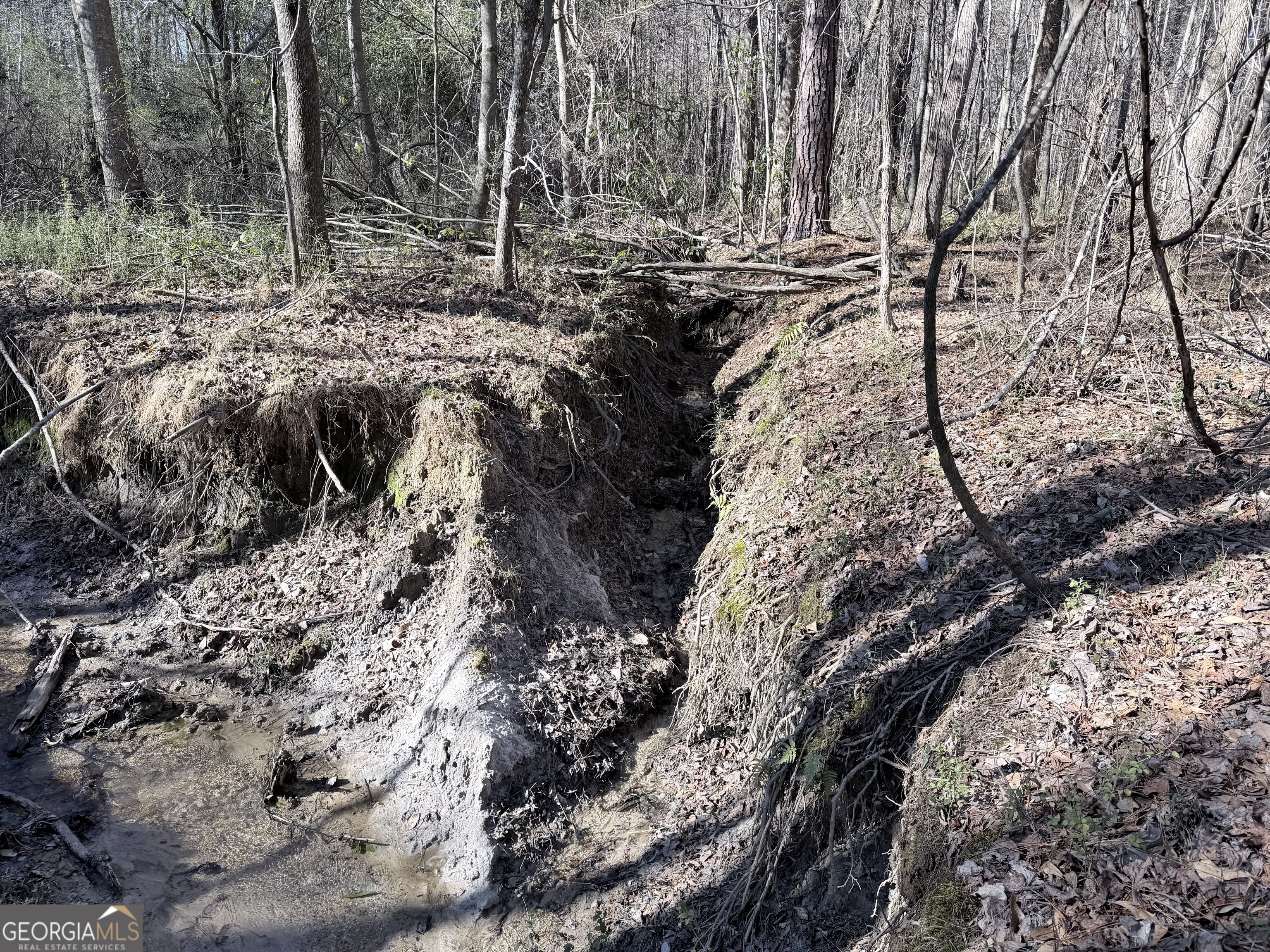 1272 Old Loganville Road Southwest Loganville, GA 30052 - Photo 10 of 18 a view of outdoor space with lots of trees