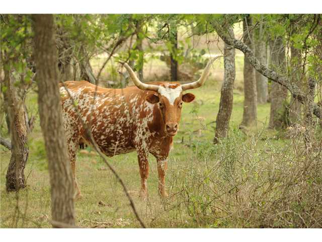 0 Watterson Road Bastrop, TX 78602 - Photo 1 of 1 Land