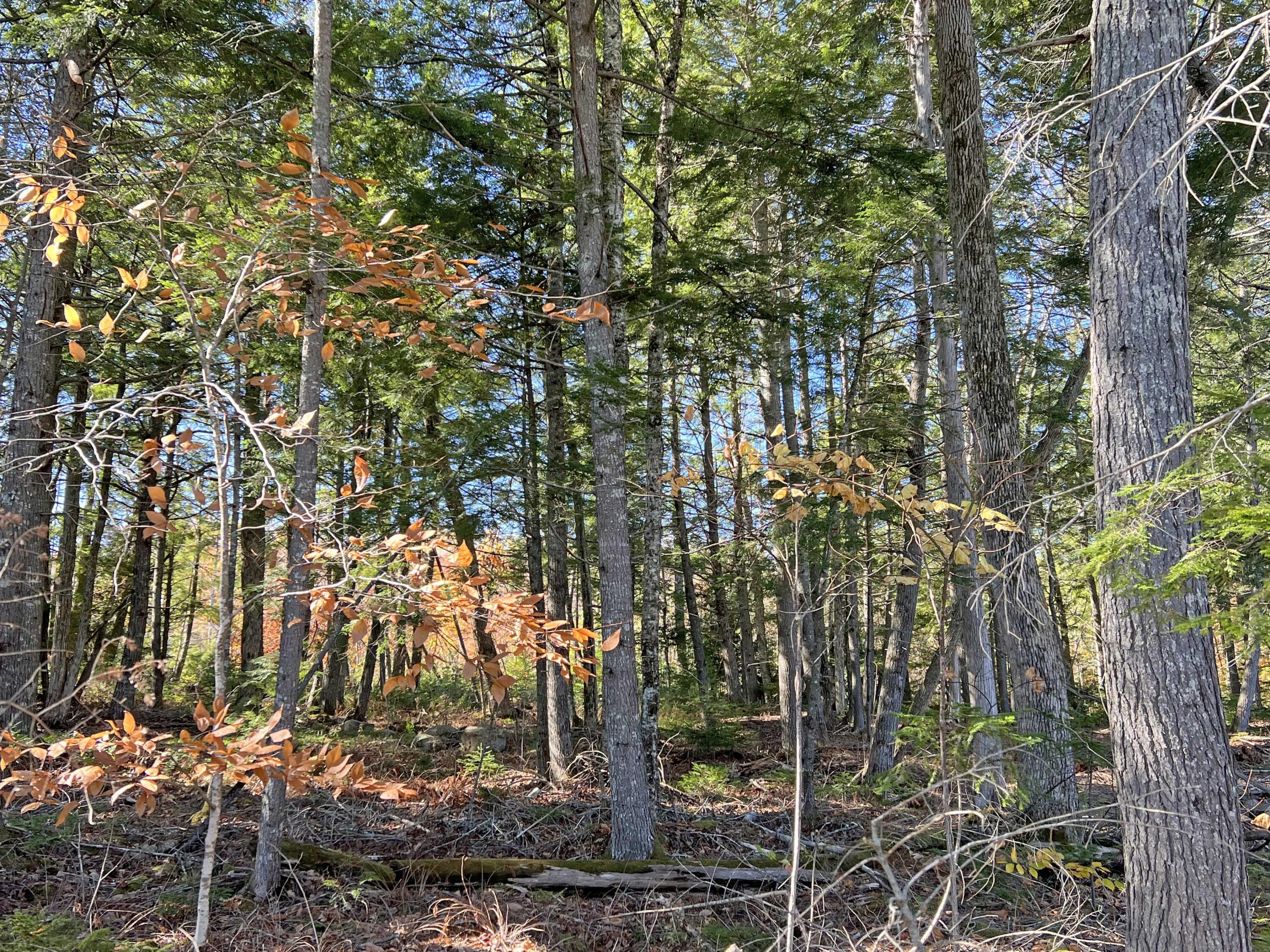 77 Salisbury Cove Road Ellsworth, ME 04605 - Photo 71 of 72 6d