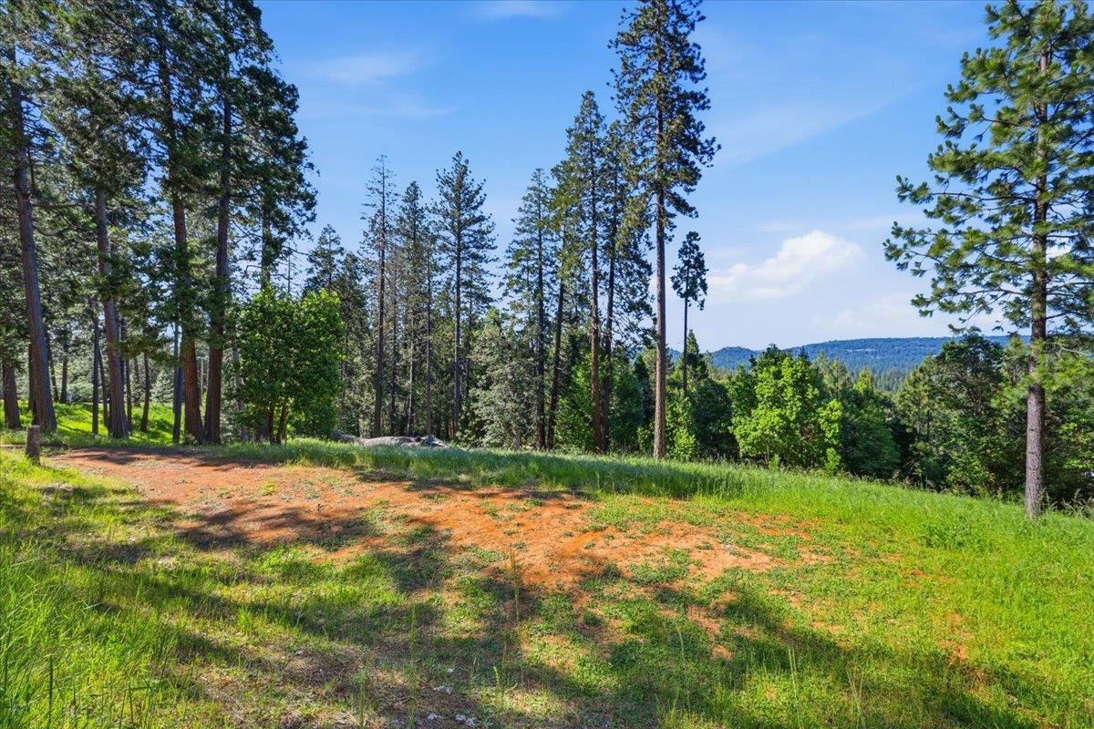 11021 Pittsburg Mine Road Nevada City, CA 95959 - Photo 15 of 36