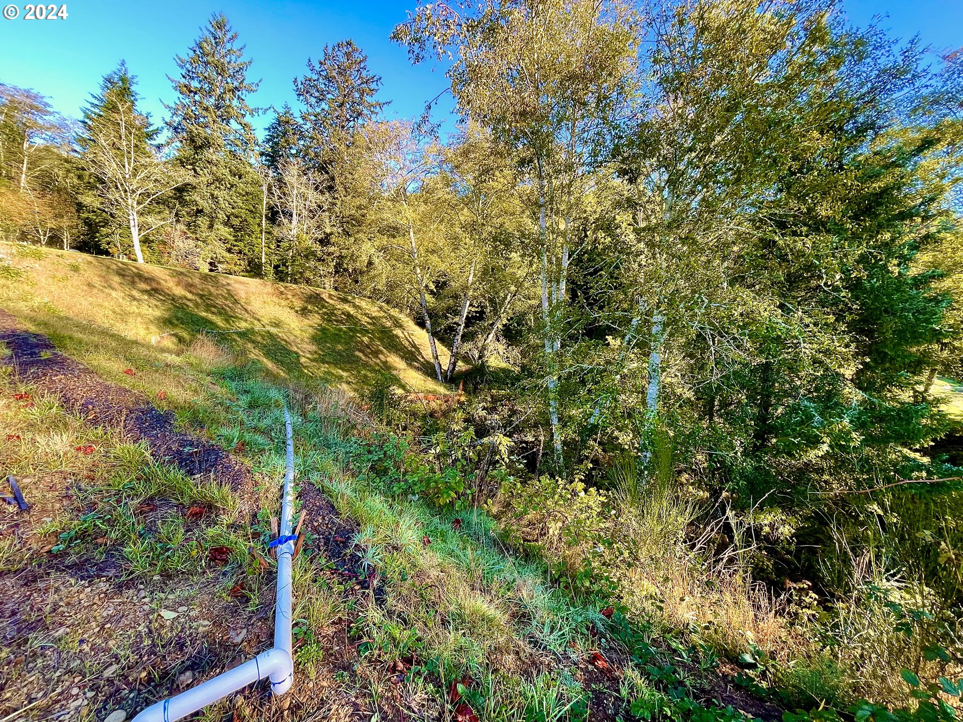 501 Garibaldi Avenue, Unit 8 Garibaldi, OR 97118 - Photo 15 of 21 a view of a large yard with lots of green space