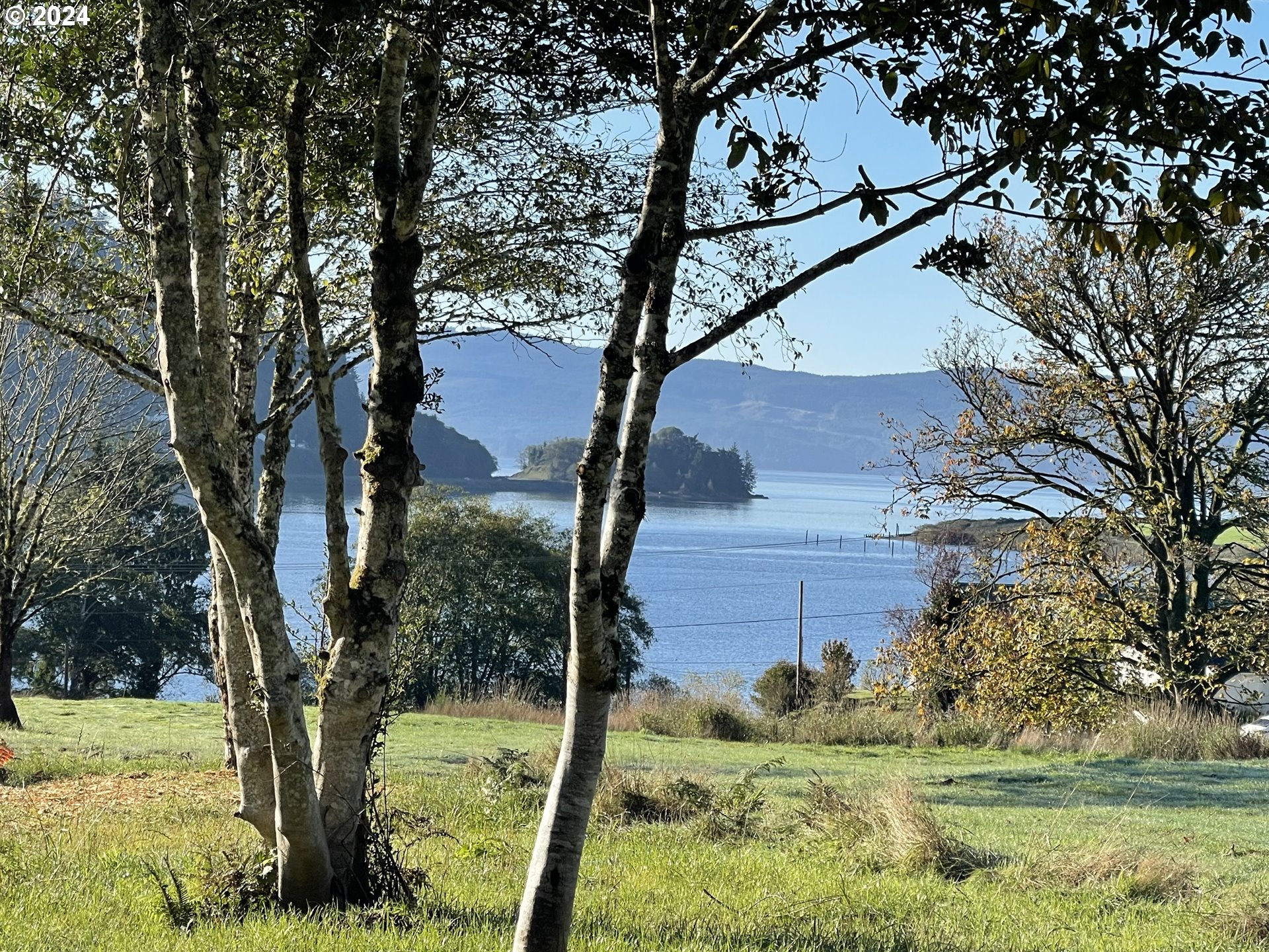 501 Garibaldi Avenue, Unit 8 Garibaldi, OR 97118 - Photo 21 of 21 a view of a tree in a yard next to a building