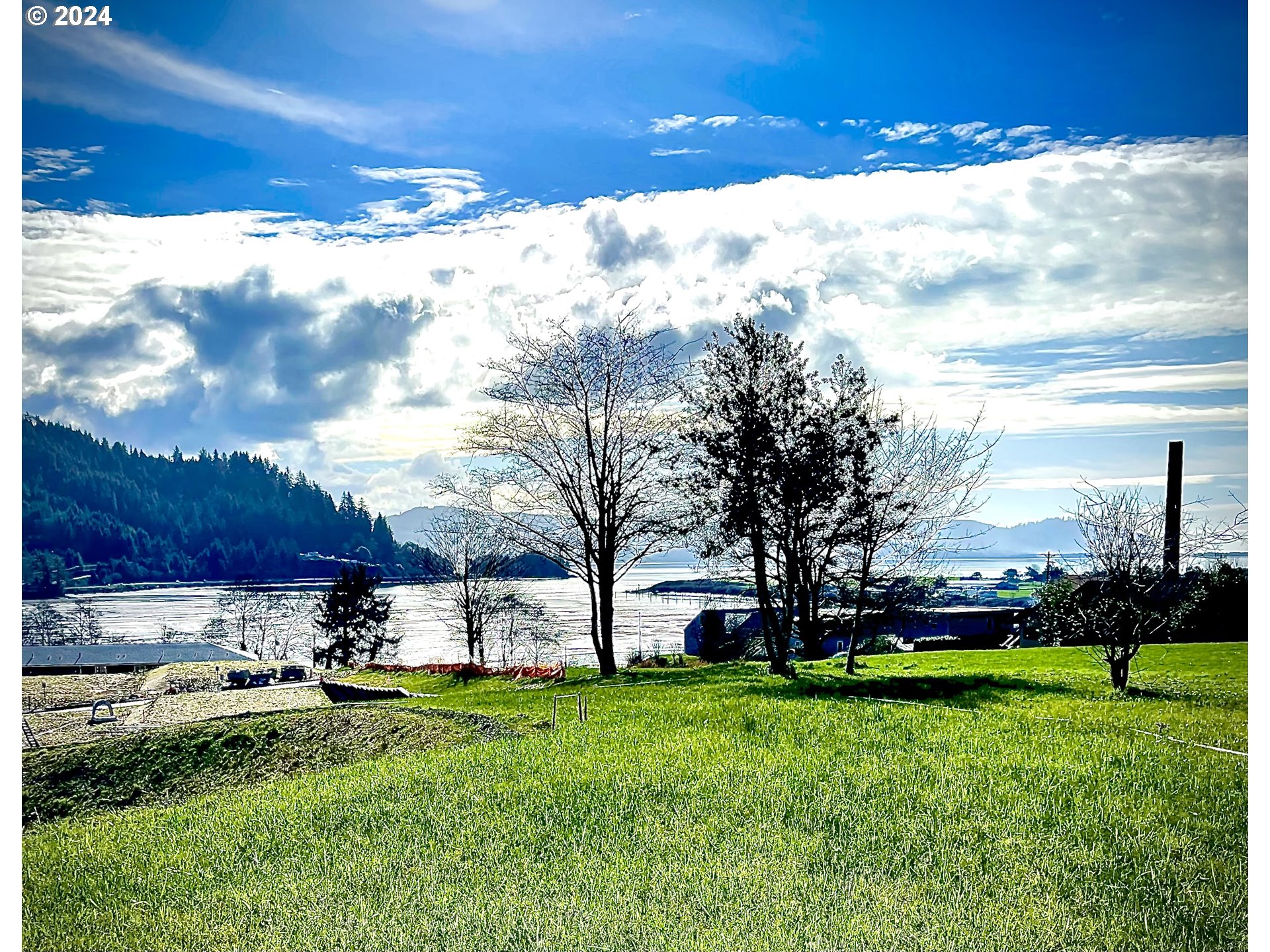 501 Garibaldi Avenue, Unit 8 Garibaldi, OR 97118 - Photo 6 of 21 a view of a yard with an trees