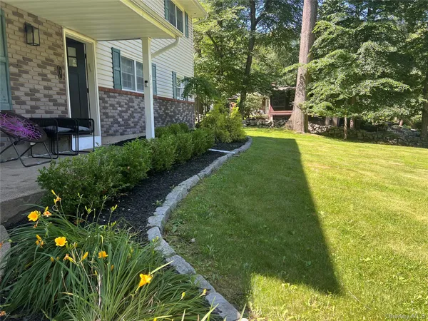 a view of a yard with plants
