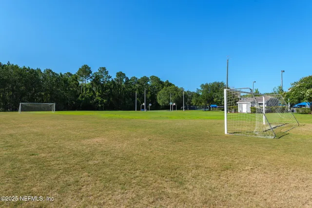 a picture of a tree with a garden