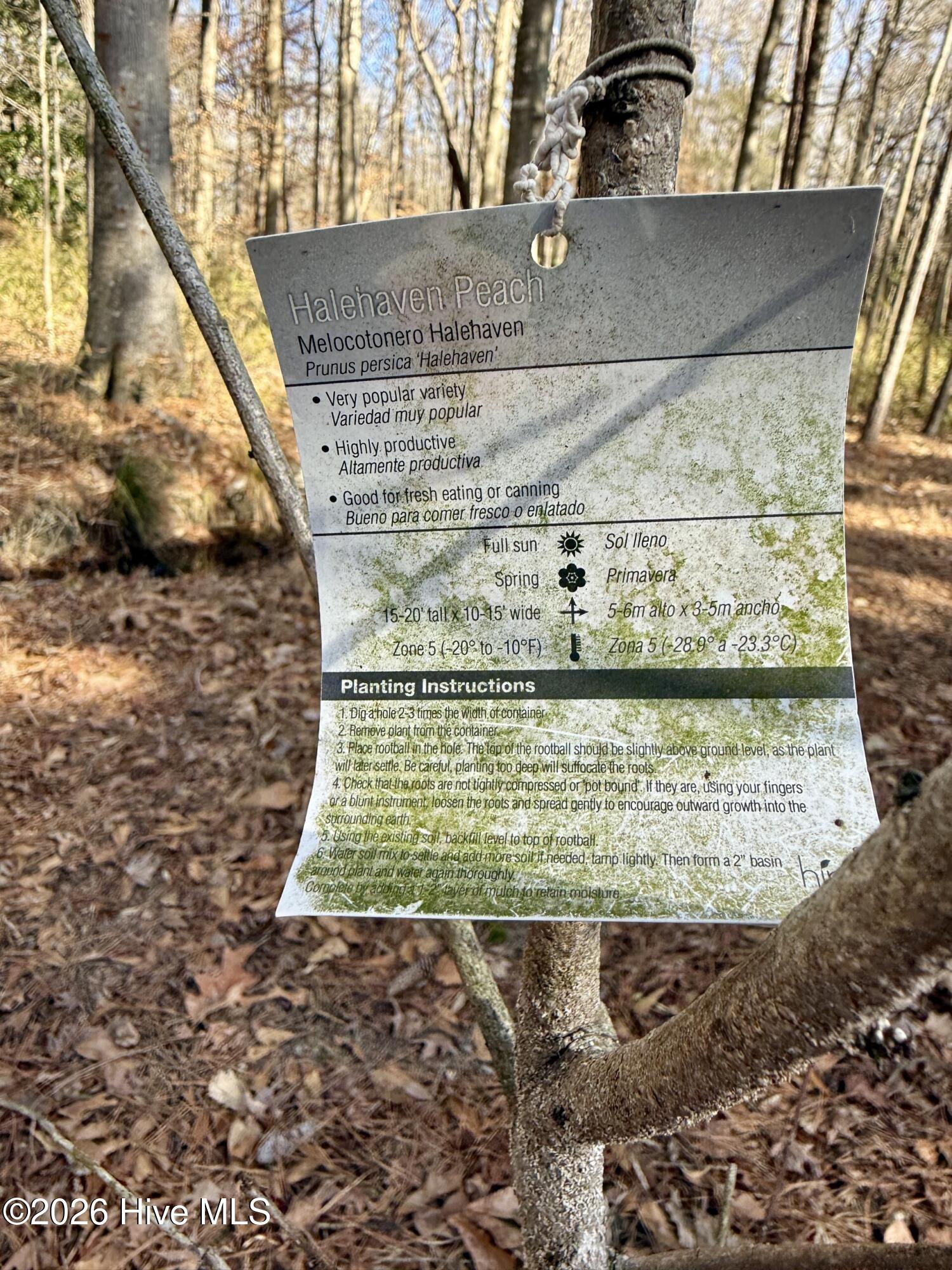 1176 Folley Road Elizabeth City, NC 27909 - Photo 14 of 45 98565c6a-deaf-4c0f-9053-68abd80a227b