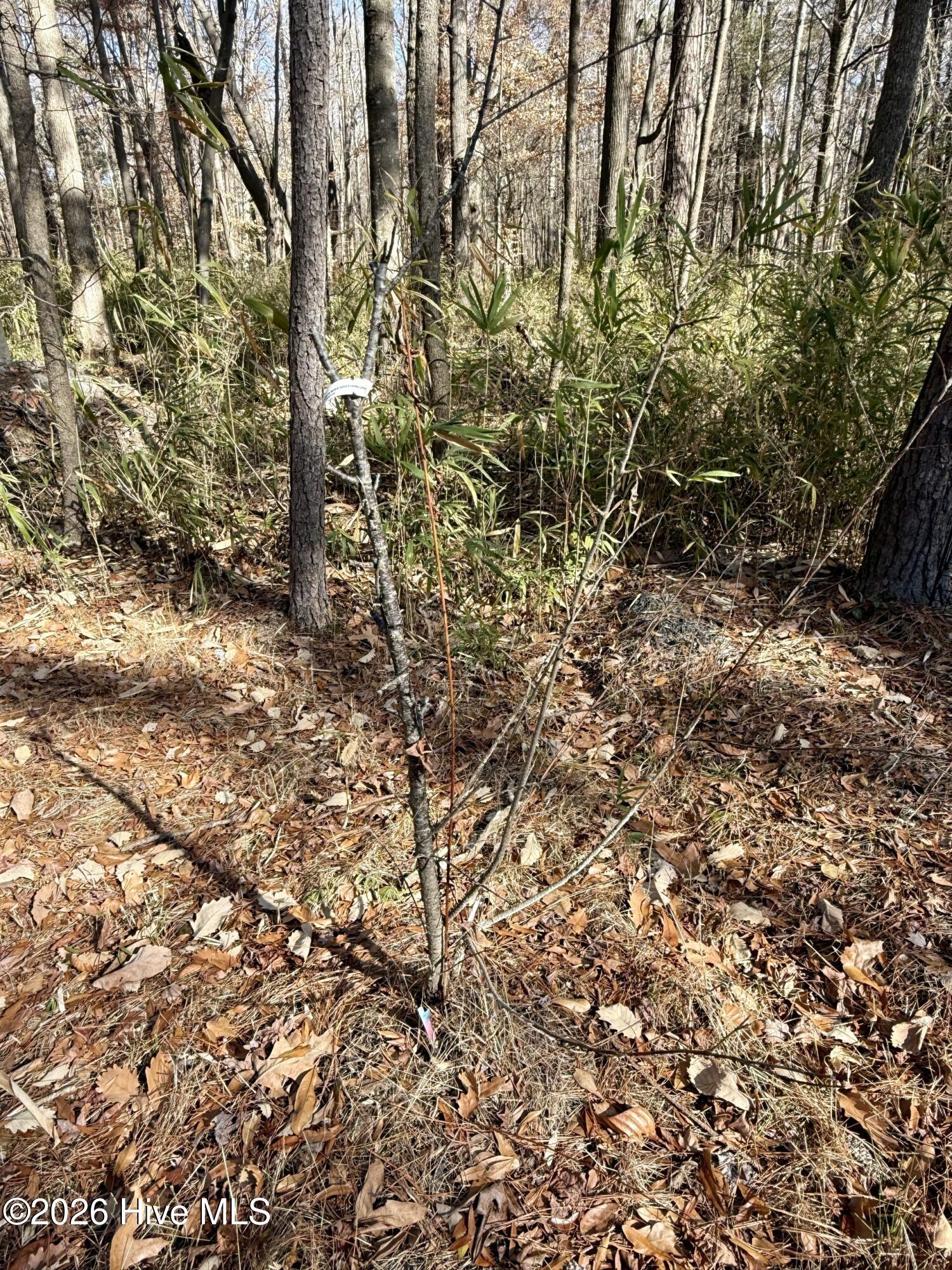 1176 Folley Road Elizabeth City, NC 27909 - Photo 17 of 45 23e7818c-9d07-451a-9e3d-a968c79bf856