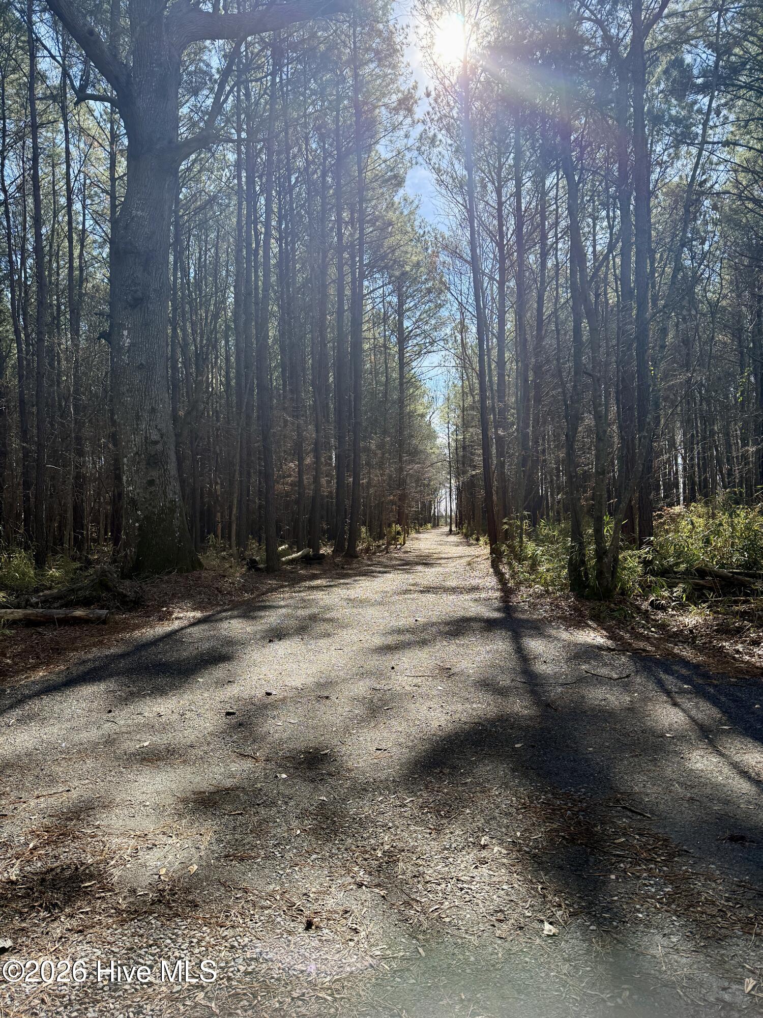 1176 Folley Road Elizabeth City, NC 27909 - Photo 2 of 45 2a3e6fce-11d0-4004-8a12-bce8e0d220b1
