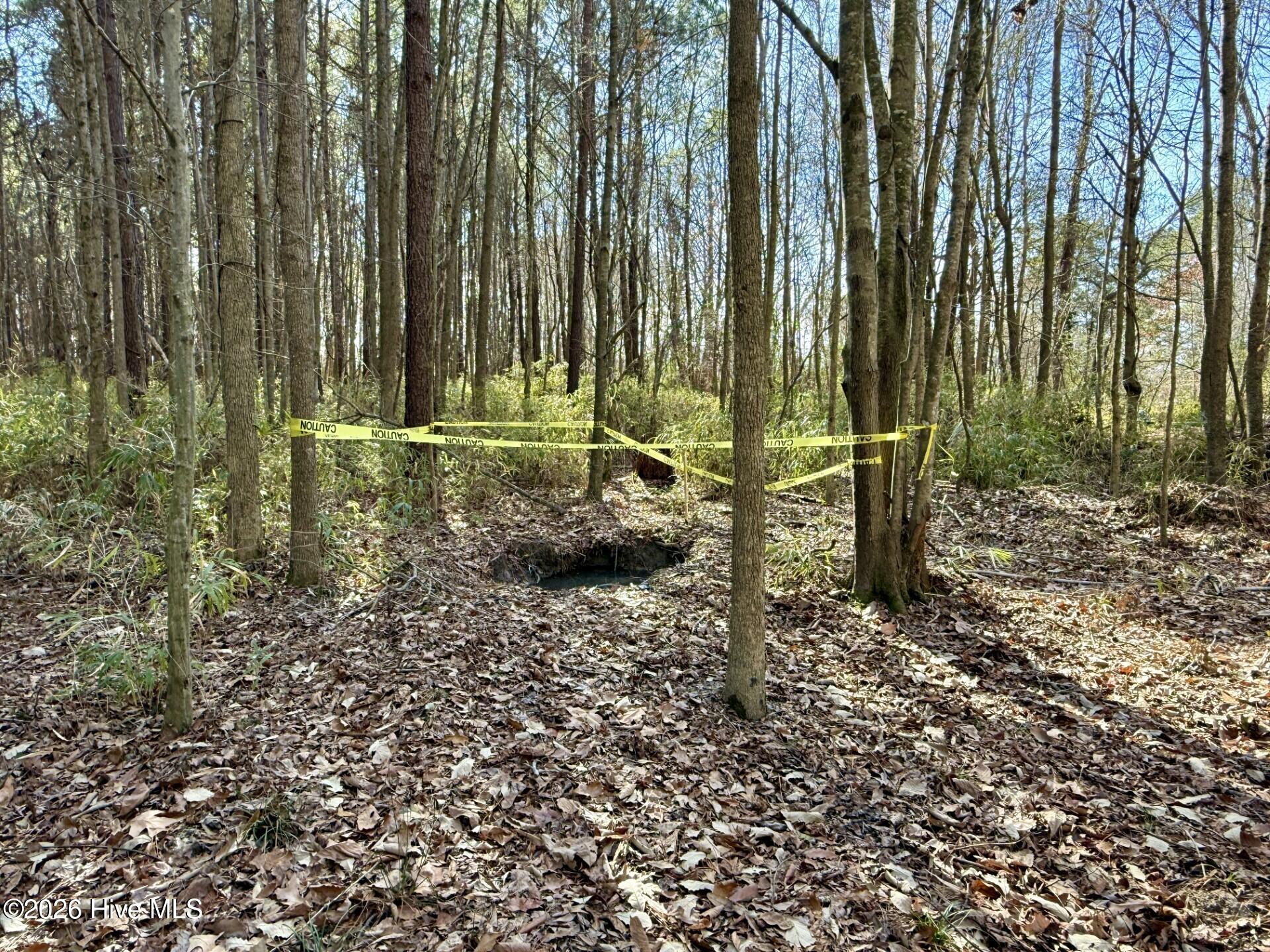 1176 Folley Road Elizabeth City, NC 27909 - Photo 24 of 45 2b1a8d90-8072-43ff-a22d-60031baf961b