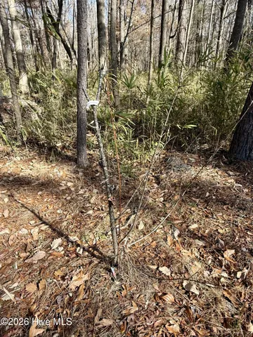 $123,000 | 1176 Folley Road, Elizabeth City, NC 27909