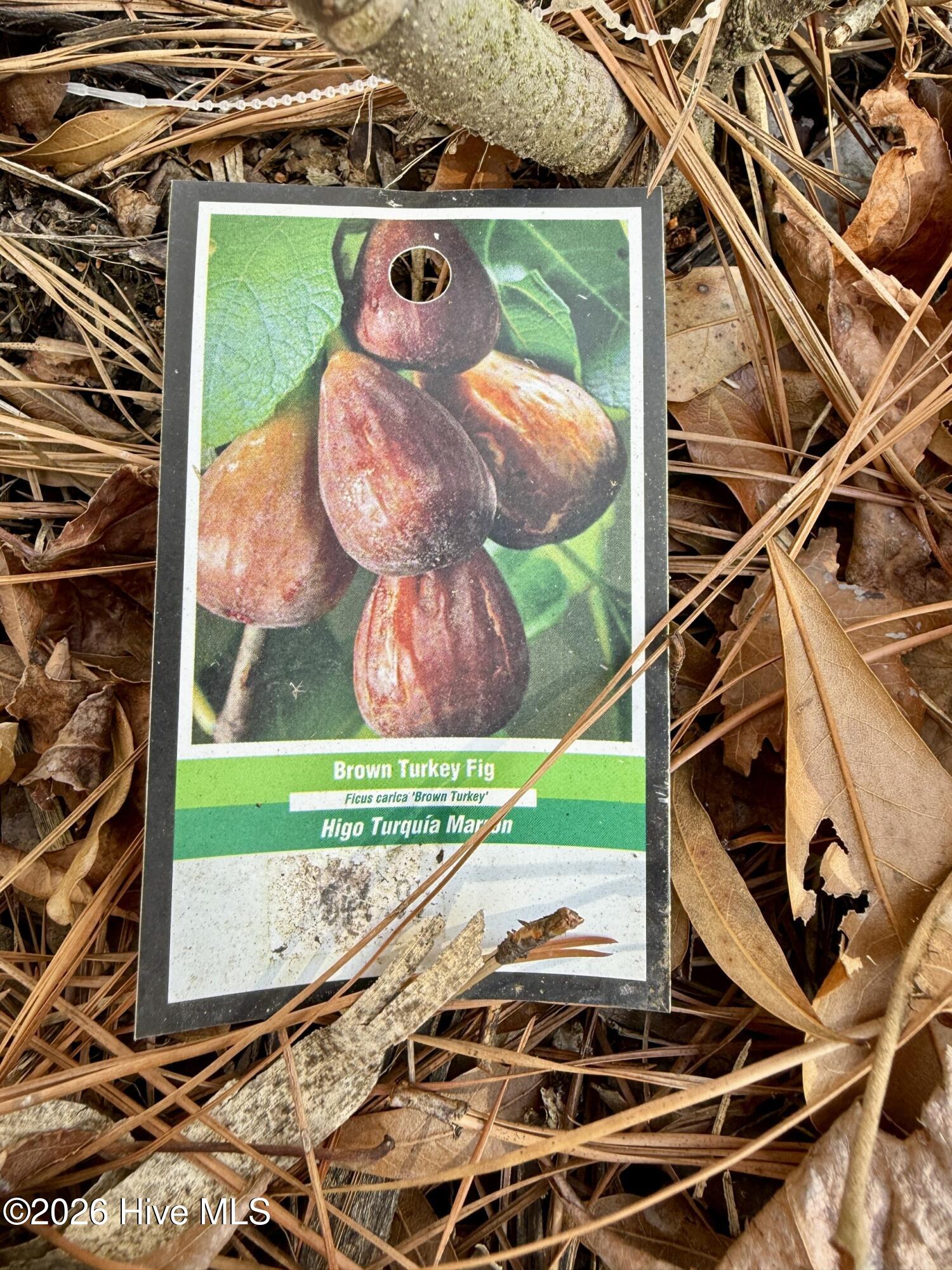 1176 Folley Road Elizabeth City, NC 27909 - Photo 40 of 45 6a461fe8-4e58-4160-9c67-1a32f1f5989d