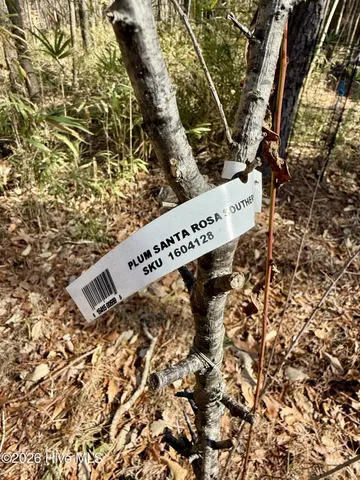 $123,000 | 1176 Folley Road, Elizabeth City, NC 27909