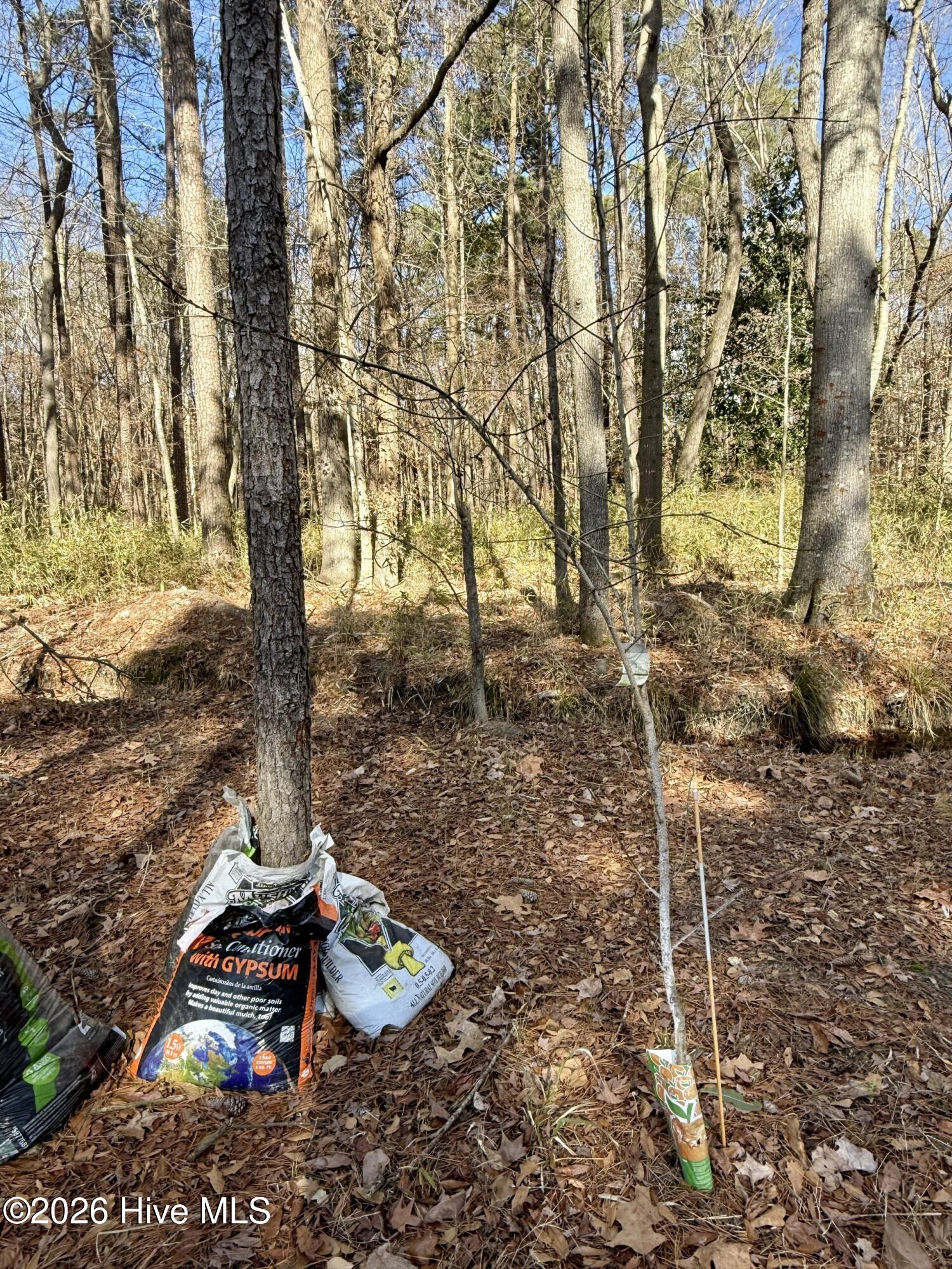 1176 Folley Road Elizabeth City, NC 27909 - Photo 41 of 45 b9b34d26-7c45-48c3-8236-fa046f691b3c