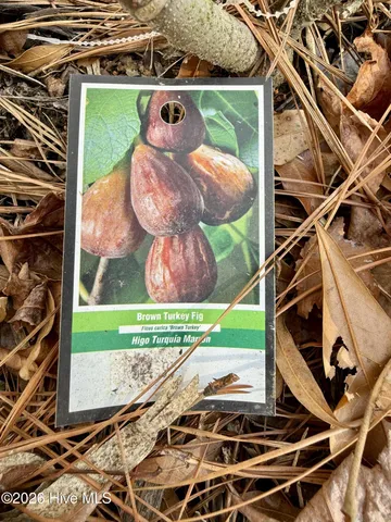 $123,000 | 1176 Folley Road, Elizabeth City, NC 27909