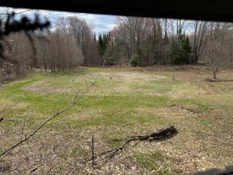 0 West Tee Lake Road Germfask, MI 49836 - Photo 6 of 29 Gallery Image 6