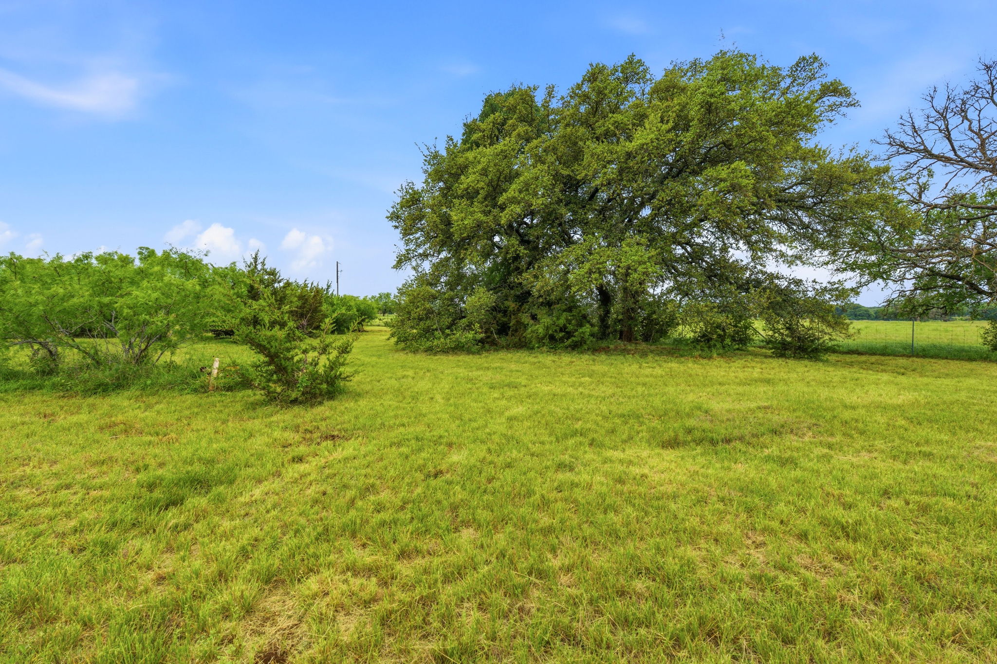104 Round Up Circle Burnet, TX 78611 - Photo 10 of 23 Expansive green acreage featuring mature trees and open fields