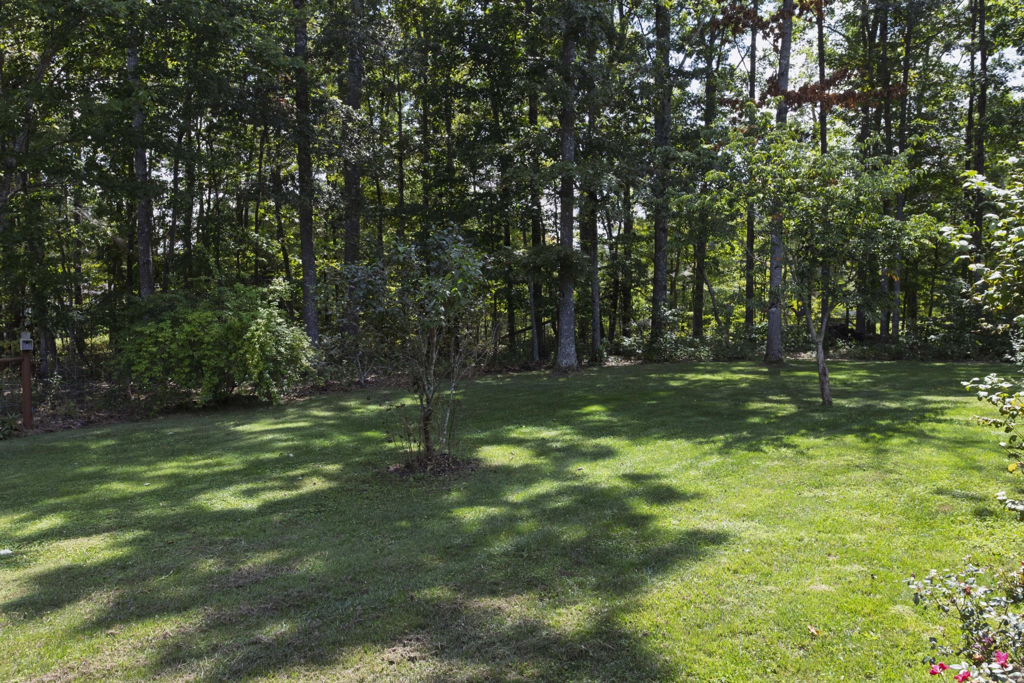 4010 Chica Road Crossville, TN 38572 - Photo 52 of 55 Gallery Image 52