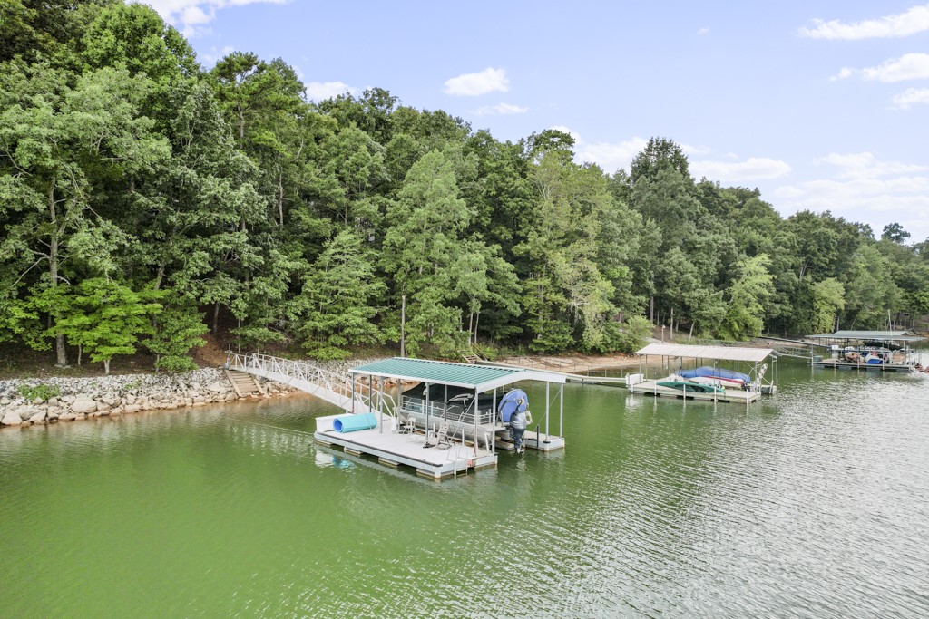 213 Riverlake Road Fair Play, SC 29643 - Photo 3 of 43 Gallery Image 3