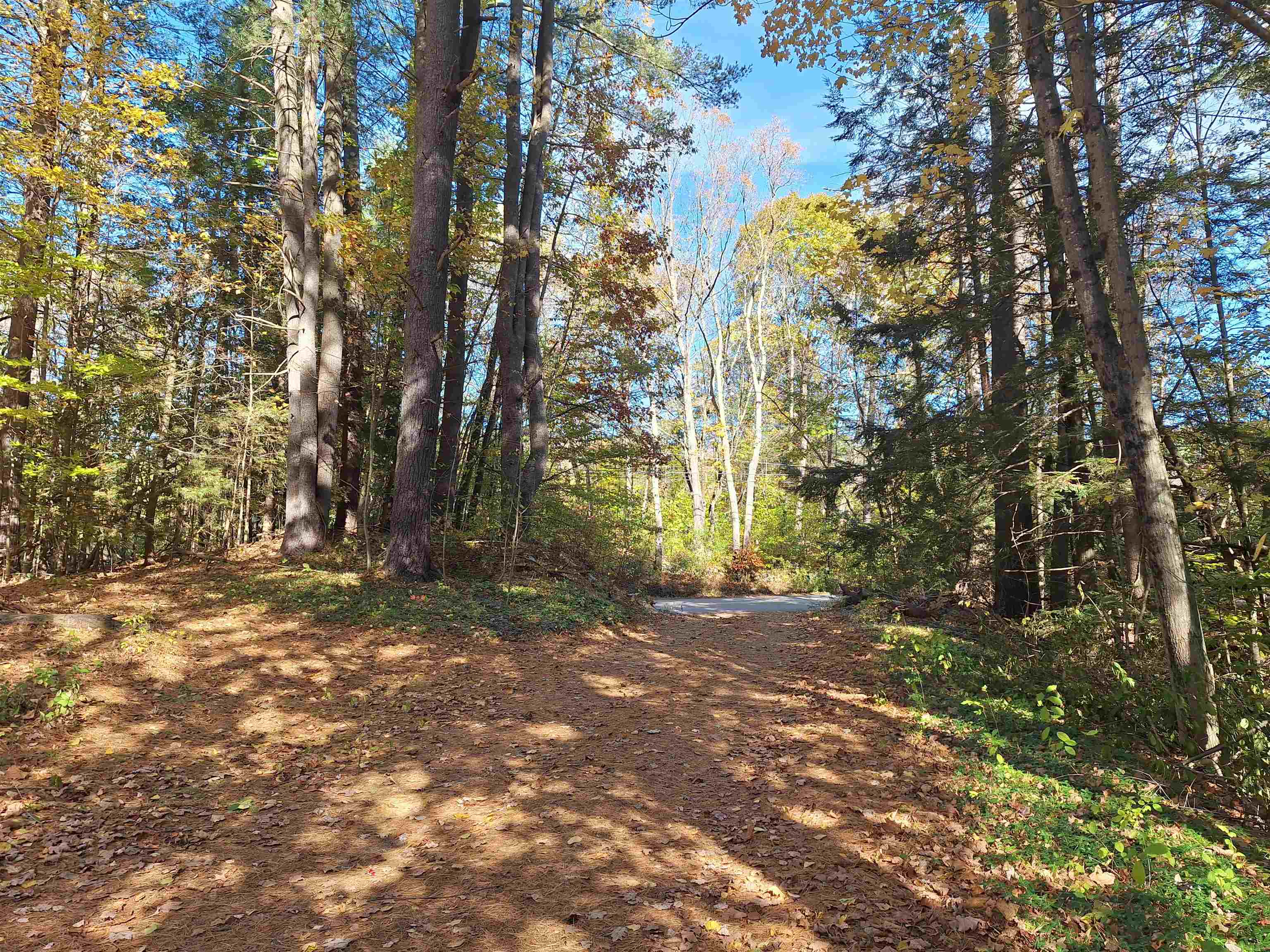 474 County Road Walpole, NH 03608 - Photo 2 of 16