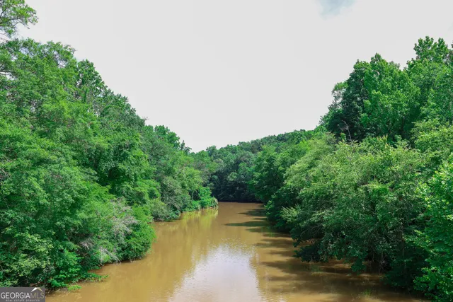 a backyard of a house with lots of green space and plants
