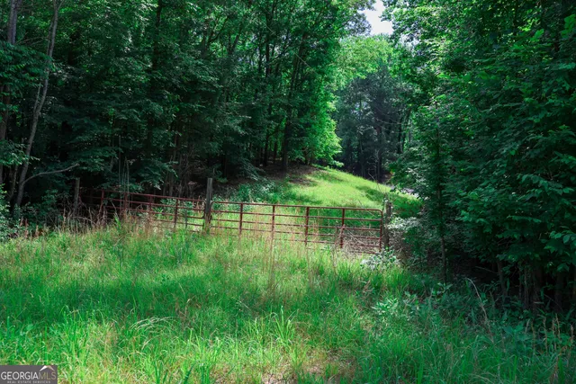 a view of a backyard with plants