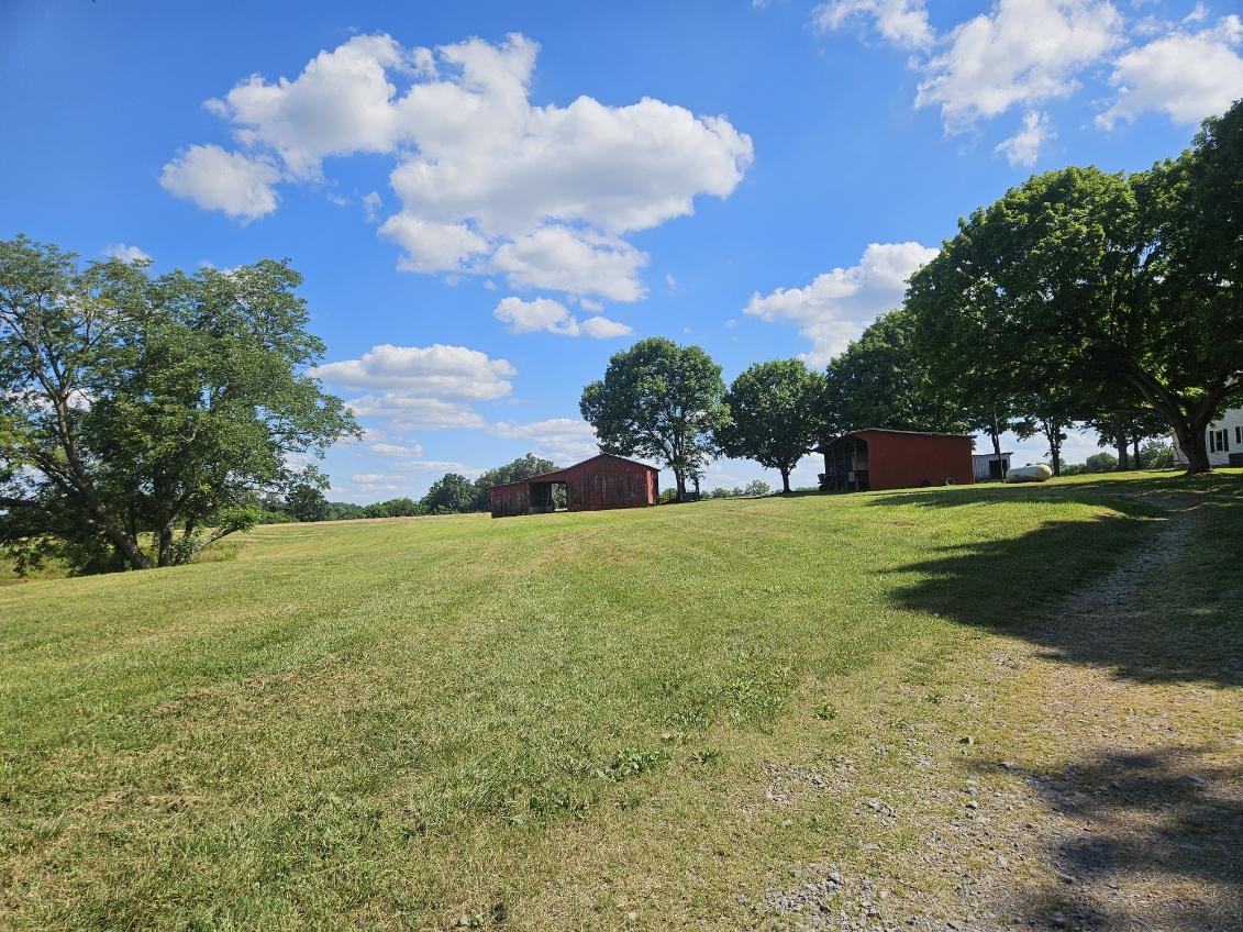 1699 Hoopers Hollow Road Adams, TN 37010 - Photo 6 of 24