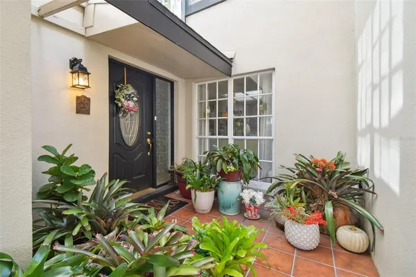 a potted plant sitting in front of a house