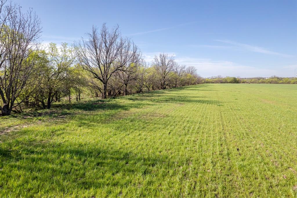 Tbd Old Burkett Road Coleman, TX 76834 - Photo 11 of 29 a view of a yard with an trees