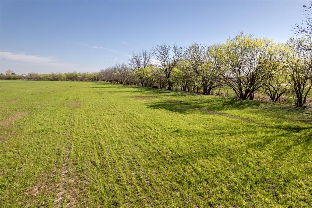 Tbd Old Burkett Road Coleman, TX 76834 - Photo 15 of 29 a view of a field with an trees