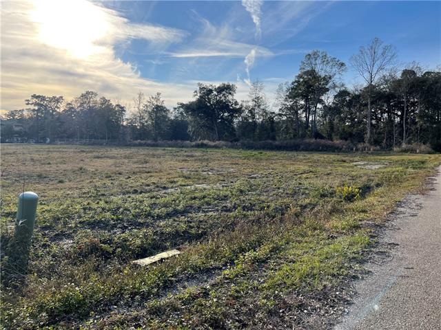 0 Haas Road Pearl River, LA 70452 - Photo 7 of 7