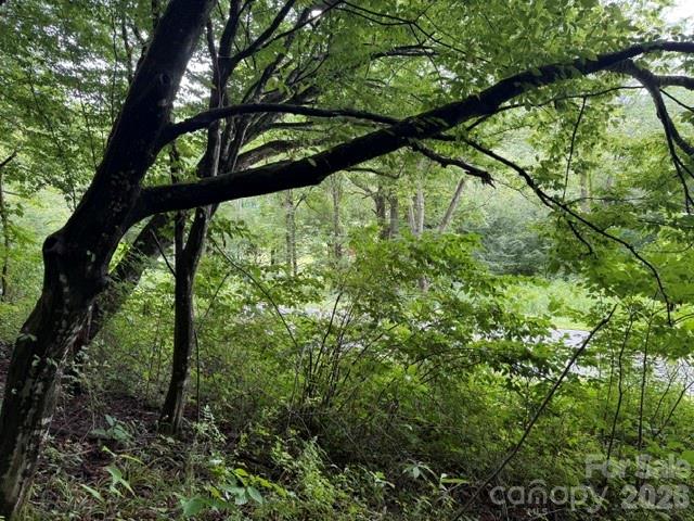 Tbd Meadow Fork Road Hot Springs, NC 28743 - Photo 3 of 20
