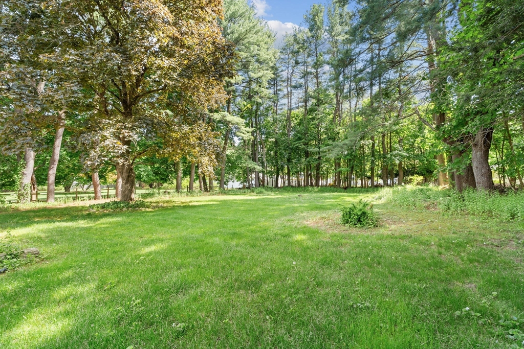 348 Belknap Road Framingham, MA 01701 - Photo 32 of 35 a view of park with trees