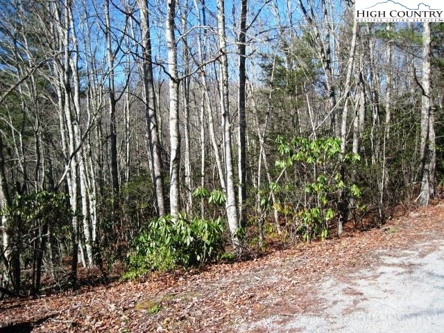 18 Goldfinch Road Newland, NC 28657 - Photo 3 of 5