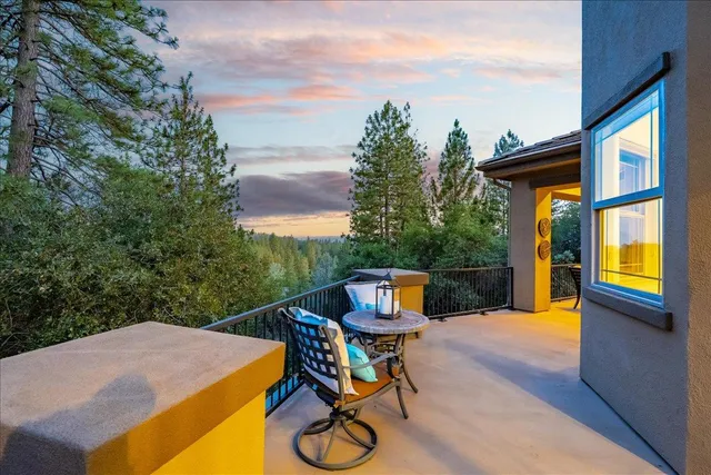 a aerial view of a house with a yard plants and large tree